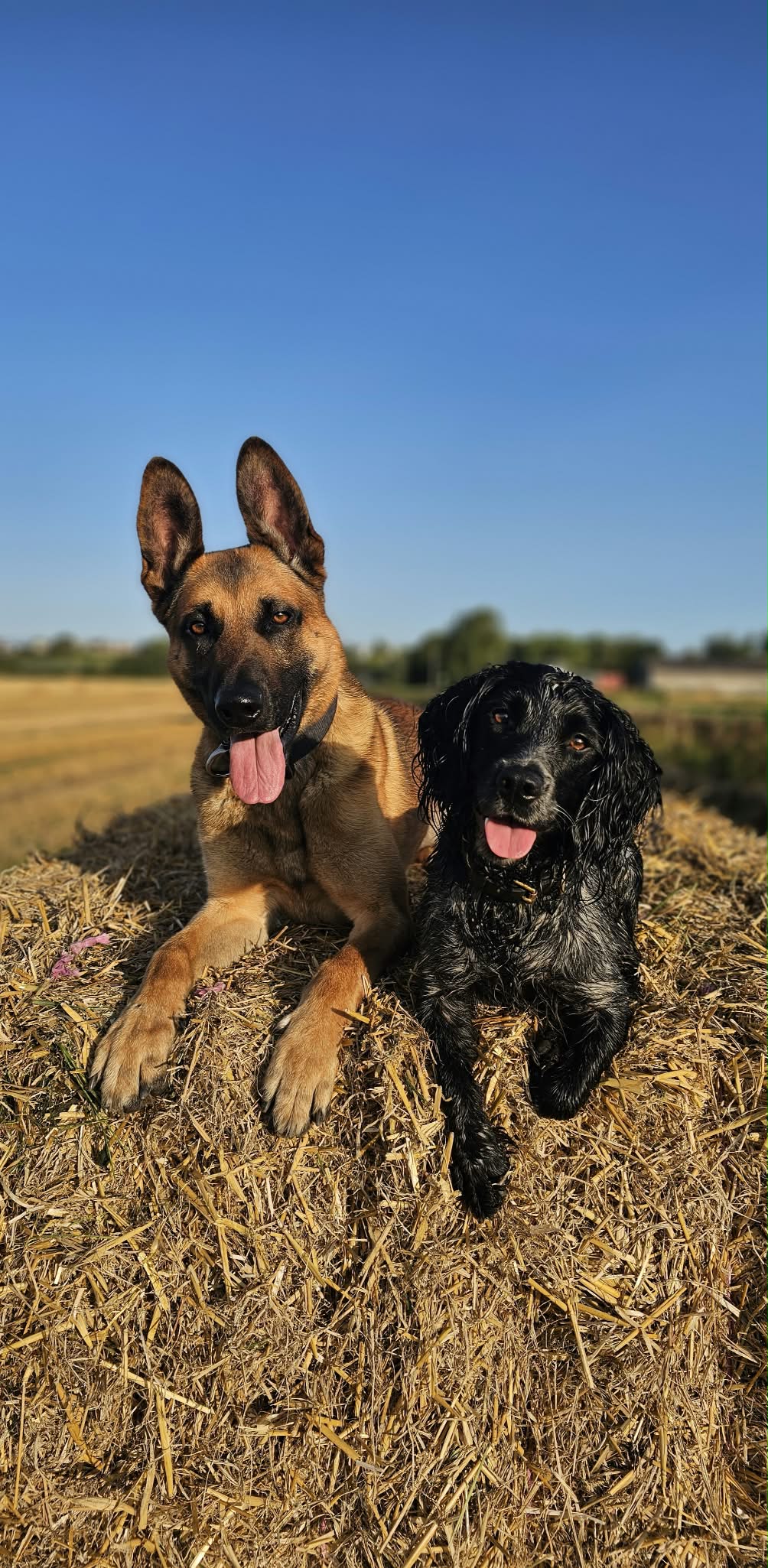 PD Clifford and PD FLoss - Cambridgeshire Constabulary..jpg